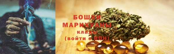 сатива Горняк