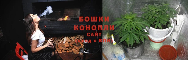 МДПВ Горнозаводск