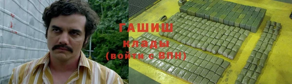 сатива Горняк