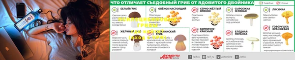 МДПВ Горнозаводск