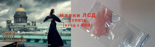 сатива Горняк
