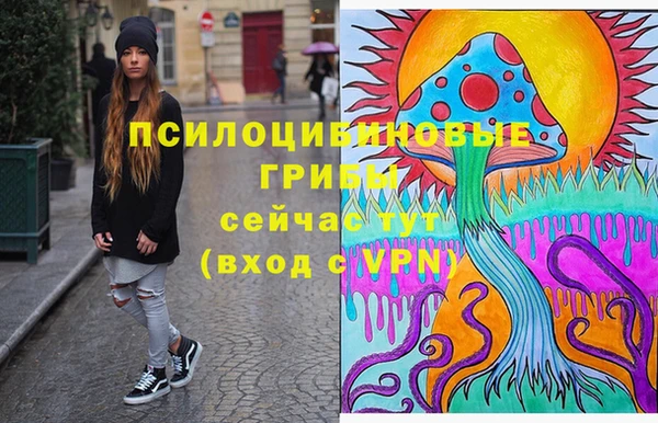 МДПВ Горнозаводск