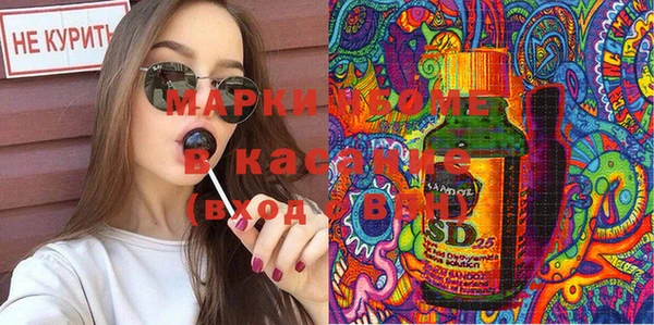 сатива Горняк