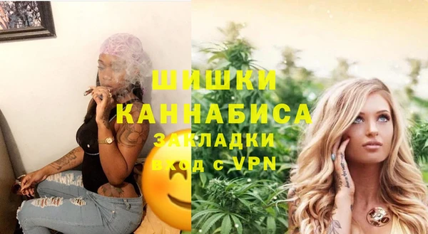 сатива Горняк