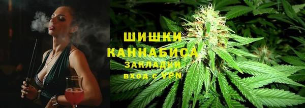 сатива Горняк