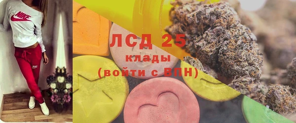 крисы Тында