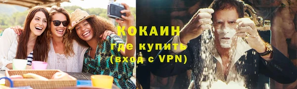 сатива Горняк